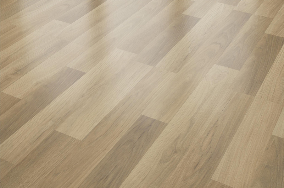 MUSTER FLOOR24 Laminat 2-Stab Eiche natur 8 mm